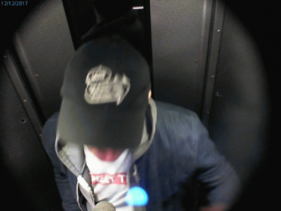My Photo