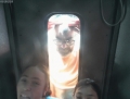 BoothPicture