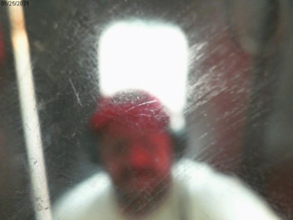 My Photo