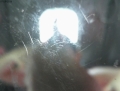 BoothPicture