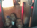BoothPicture